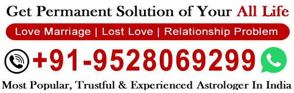 Whatsapp Astrologer Suraj Shastri Ji